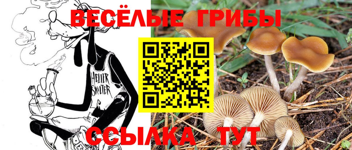 Галлюциногенные грибы MAGIC MUSHROOMS  Вход с VPN  Ирбит 