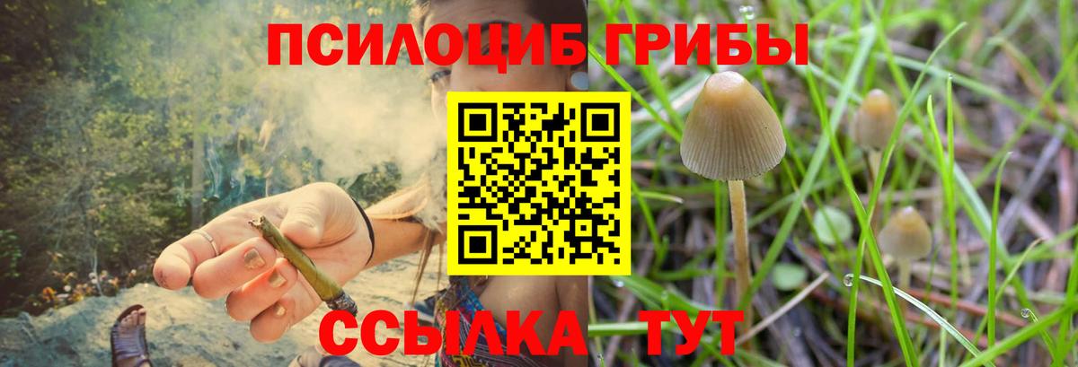 Галлюциногенные грибы MAGIC MUSHROOMS Ирбит